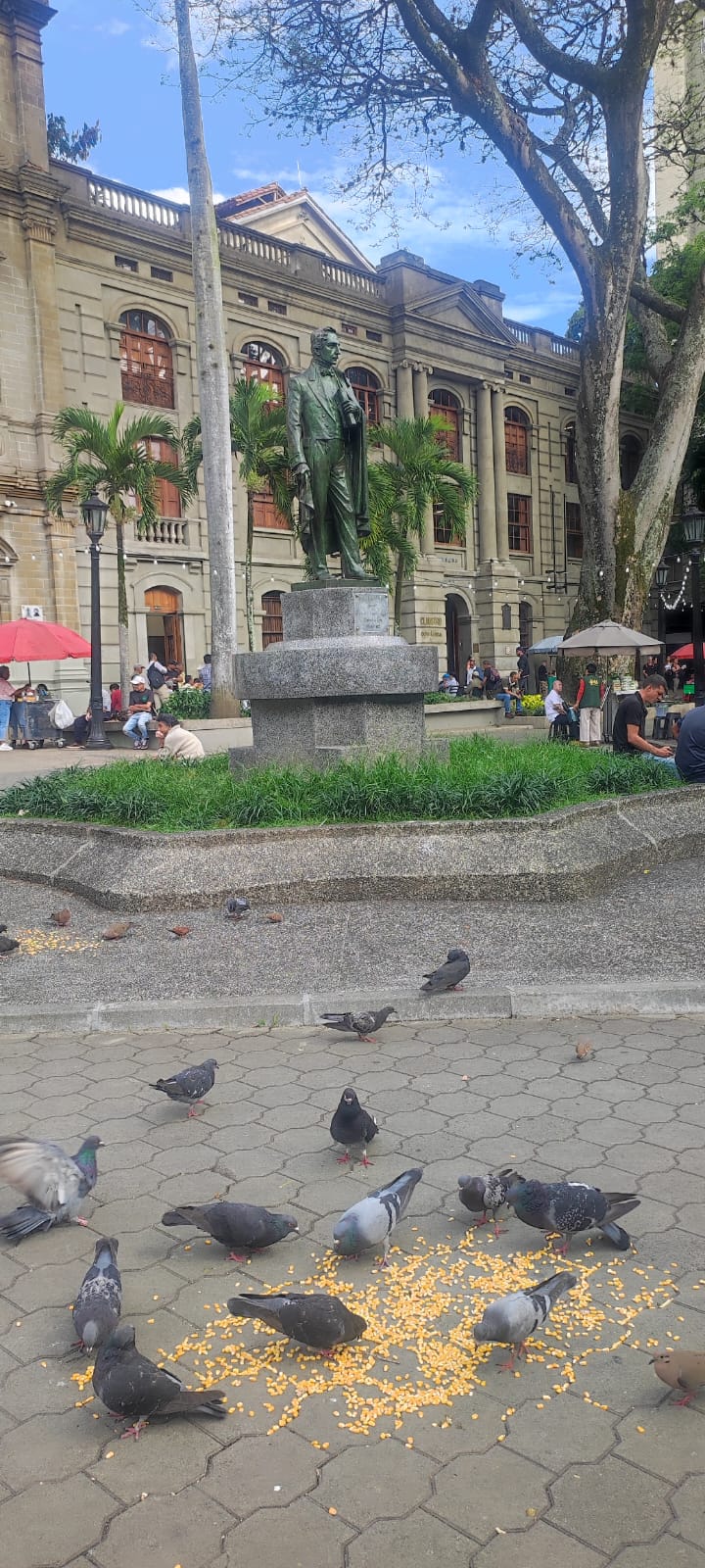 Fotografía artística